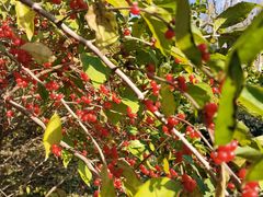 -天津东丽湖风景区