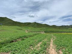 -扁都口生态休闲旅游区