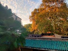 -武汉大学-樱园