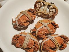 -杨氏青龙虾·羊肉季(金盛路总店)