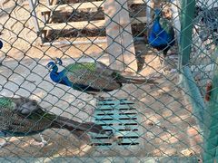 -北京鹿世界主题园