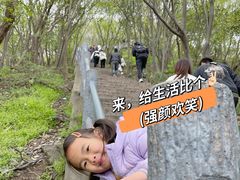 -紫金山山顶公园