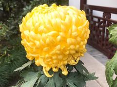 -汇龙潭