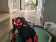 -拜鲁耶动物诊疗中心·宠家动物医院