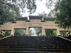 -灵谷景区