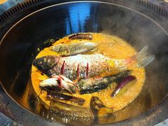 鱼锅-山河屯铁锅炖(哈西站店)