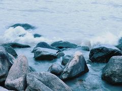 -上海吴淞炮台湾国家湿地公园