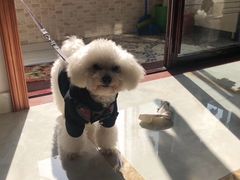 -萌兽医馆·宠物医院·猫骨科(创景店)