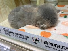 -上海尚嘉中心