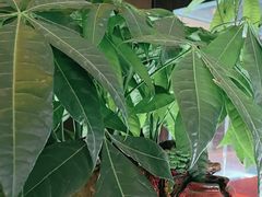 -喜湘宴·精致湖南菜(和平西桥店)