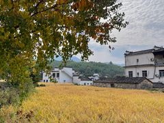 -塔川景区