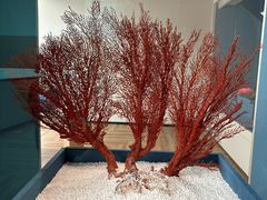 -中国湿地博物馆