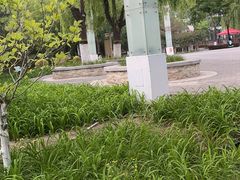 -大兴滨河森林公园