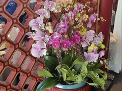 -羲和雅苑•北京烤鸭(平安国际金融中心店)