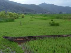 -泸沽湖国家级风景名胜区走婚桥