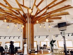 -ChanDu躔度咖啡(灯塔店)