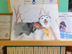 -Husky Go! 哈士奇体验馆·宠物咖啡厅狗咖