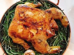 烧焗法国鸡-风雅厨