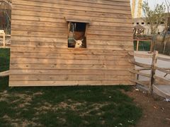 -祥源·阜阳生态乐园