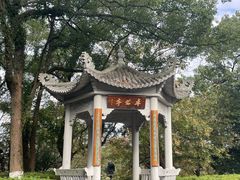 -江心屿景区