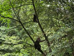 -西岭雪山大飞水景区