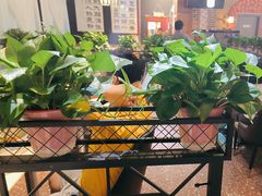 -小城外婆肴私房菜.家宴聚集点(圆明园颐和园·清河上地店)