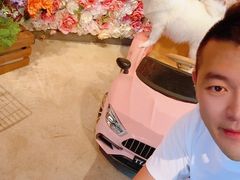 -百好乐宠物友好餐厅(朝外大街店)