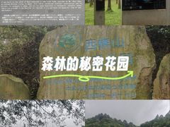 -西樵山风景名胜区-天湖公园