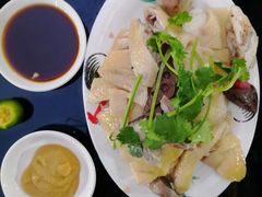 正宗海南文昌鸡-文昌鸡饭店110号(中山路店)