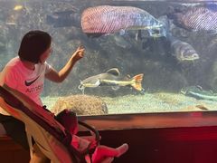 -太平洋海底世界