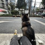 路过春熙路附近 转角遇见咖啡