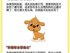 -北京观赏动物医院·24小时大型综合·猫专科·异宠专科