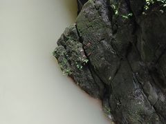 -龙水峡地缝景区