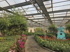 -南宫五洲植物乐园