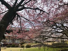 -醍醐寺