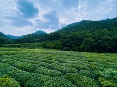 -礼耕堂·百年茶人餐厅(梅家坞店)