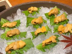 -月龍吟(朝龙汇店)