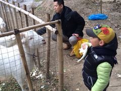 iphone_upload_pic-鸿华度假酒店