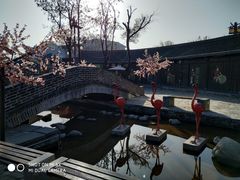 -茯茶镇
