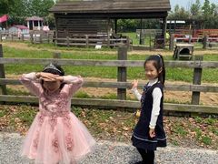 -田园东方蜜桃村的田野营地