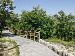 -白水寺森林公园