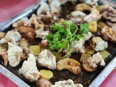 清蒸河豚鱼-叠石海边饭店