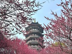 -洋湖国家湿地公园