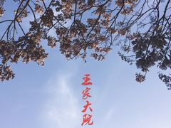 -王家大院