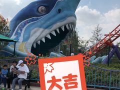 景点-上海海昌海洋公园