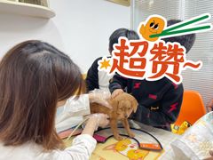 -美联众合动物医院(·中兽医·疑难杂症·严家桥分院)