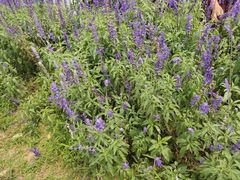 景点-永记生态园