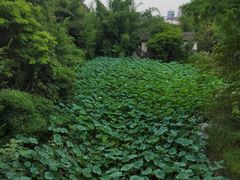 -鱼凫人家