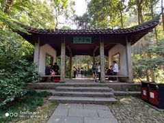 -西湖风景区十里琅珰-五云山