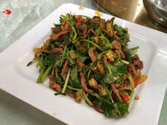 -新更老北方饺子馆·东北菜(东晓路店)